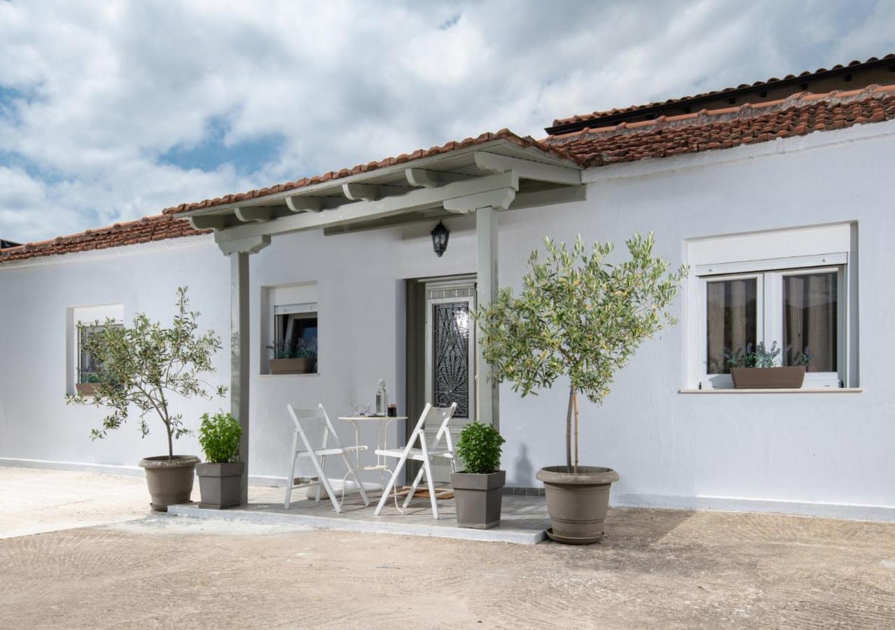 Agrikia Tis Vasilikis Apartman Ormília Kültér fotó